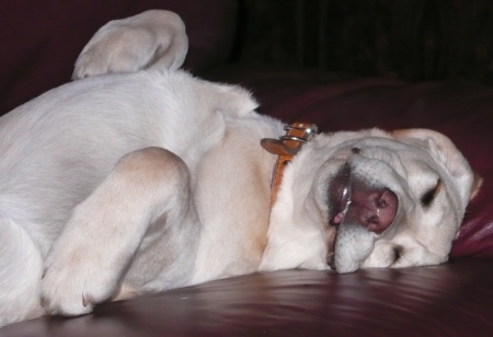 Hiro Napping