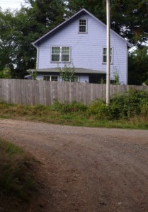 Blue House