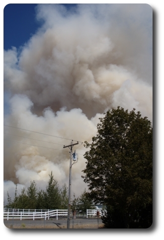 Smoky day