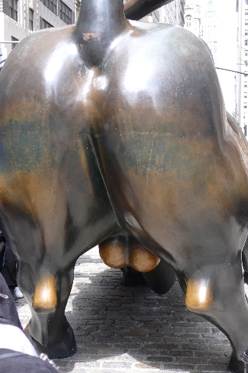 bollocks