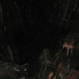P1020769