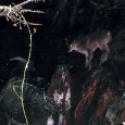 P1020774