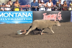 mutton-busting